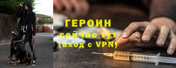 стафф Ельня
