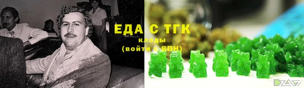 индика Елабуга