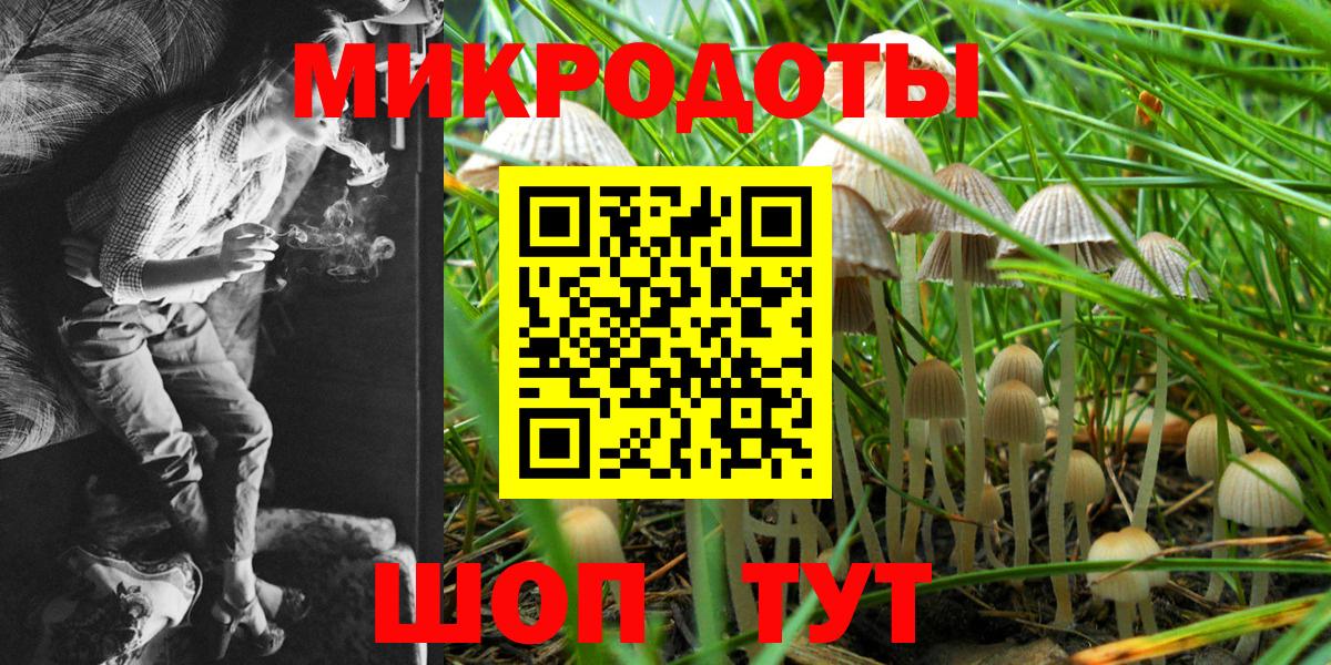 Галлюциногенные грибы прущие грибы Заринск