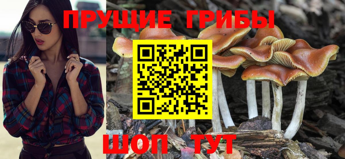 Заринск  МДМА  Альфа ПВП СК кристаллы  Канабис  Меф МЯУ МЯУ   Кокаин  Гашиш 