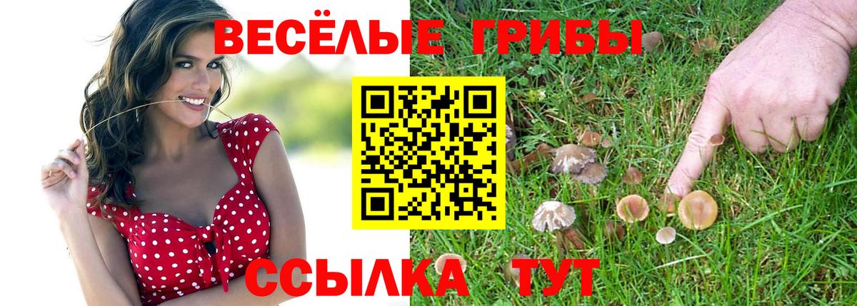 Галлюциногенные грибы мухоморы  Вход с VPN  Псилоцибиновые грибы Cubensis  Заринск 