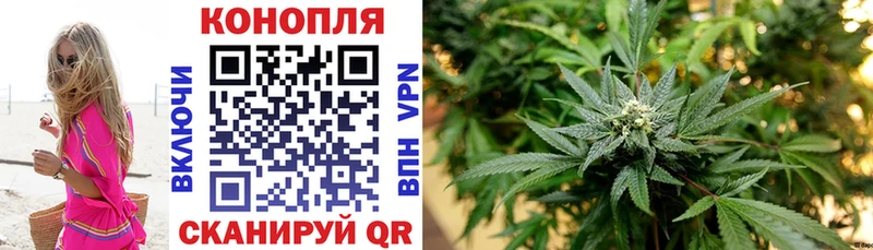 МАРИХУАНА ГИДРОПОН Заринск